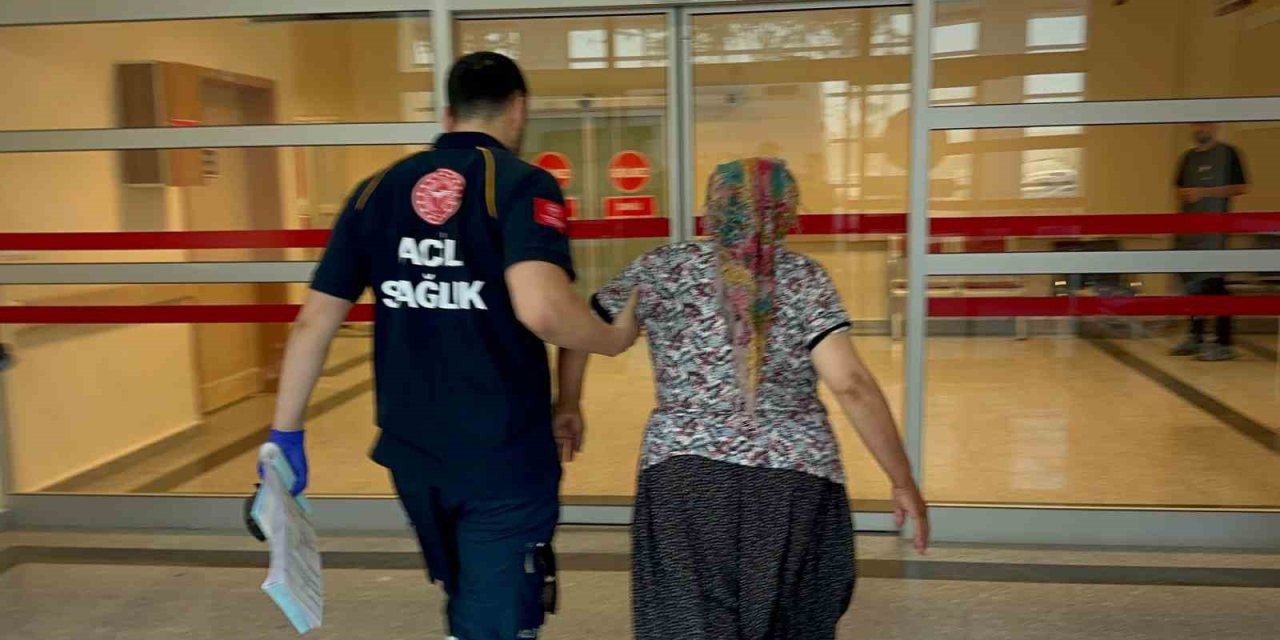 Adıyaman'da yılanın ısırdığı kadın hastaneye kaldırıldı