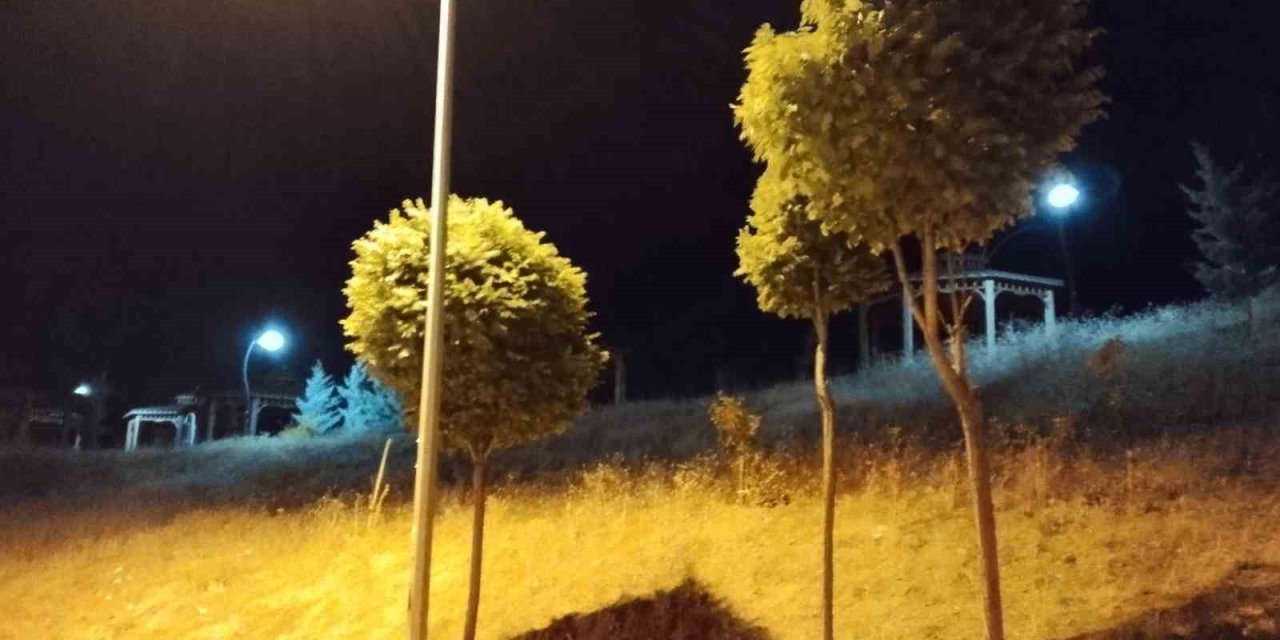 Elazığ’da gece saatlerinde kuvvetli rüzgar etkili oldu