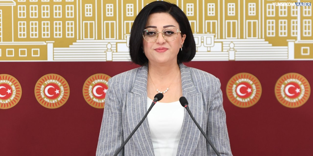 Hakkâri’de sağlık altyapısı ve personel sorunları TBMM’ye taşındı