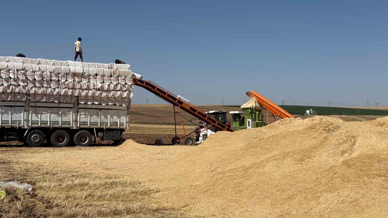 45 derece hissedilen sıcak havada saman yüklüyorlar