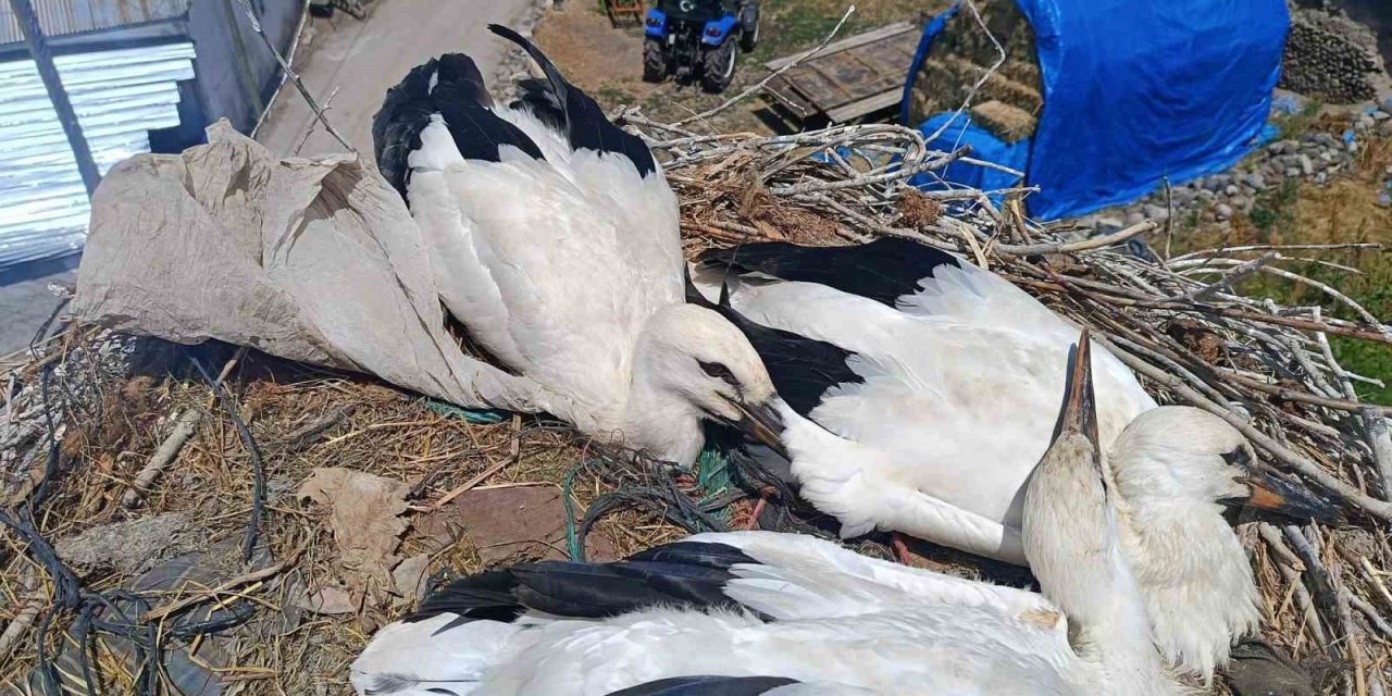 Erzurum'da itfaiyeden leyleğe uzanan şefkat eli