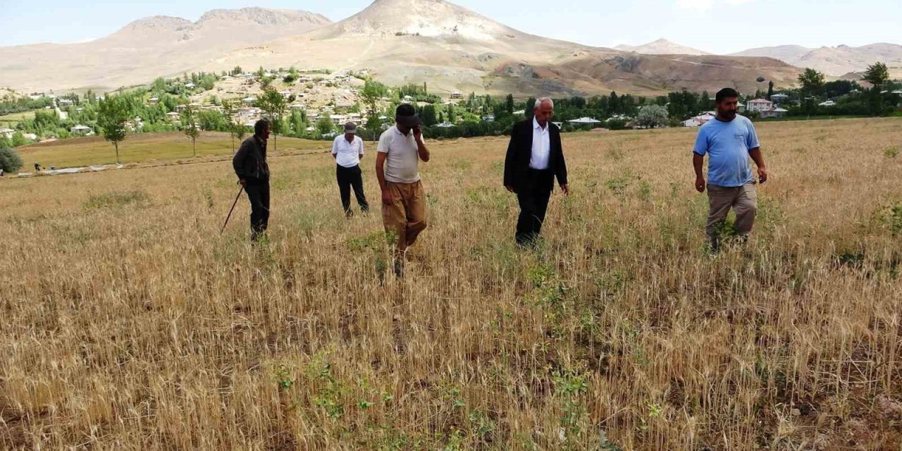 Vanlı çiftçiler sulama göleti talep ediyor