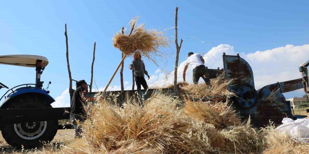 Erzincan'da kavuran sıcakta dondurucu kışa hazırlık
