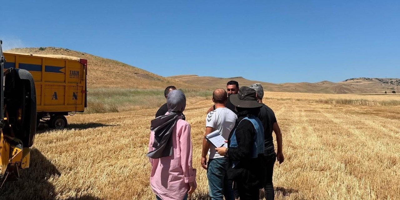 Elazığ’da hasat ve biçerdöver denetimleri devam ediyor