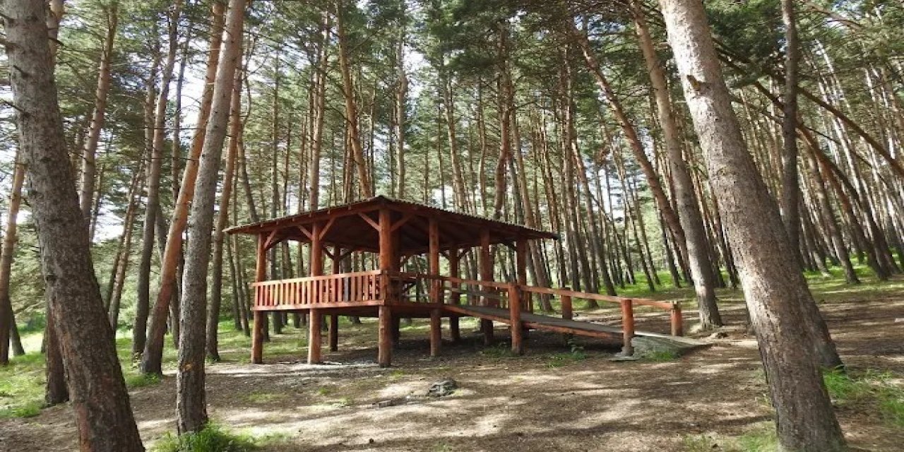 Ardahan’da orman girişlerine yasak