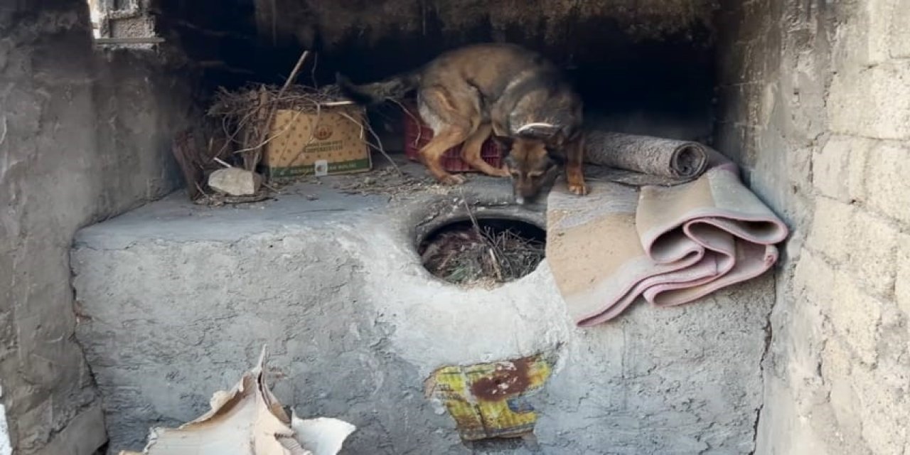 Batman’da ekmek tandırında uyuşturucu yakalandı