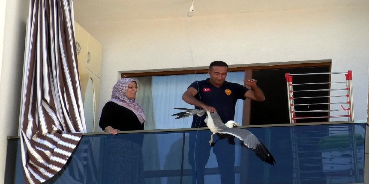 Van'da ipe dolanan martı kurtarıldı