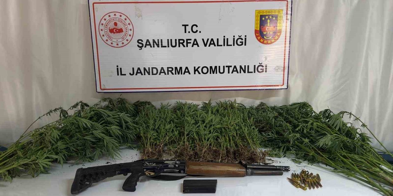 Şanlıurfa’da uyuşturucu operasyonu