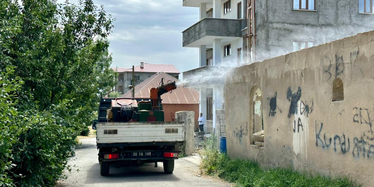 Yüksekova’da sivrisinek ve karasineklere karşı ilaçlama çalışması