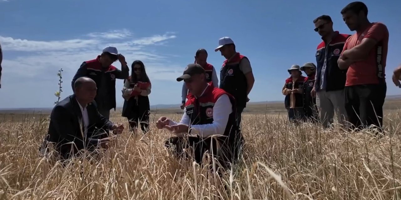 Kars’ta hasat mevsimi