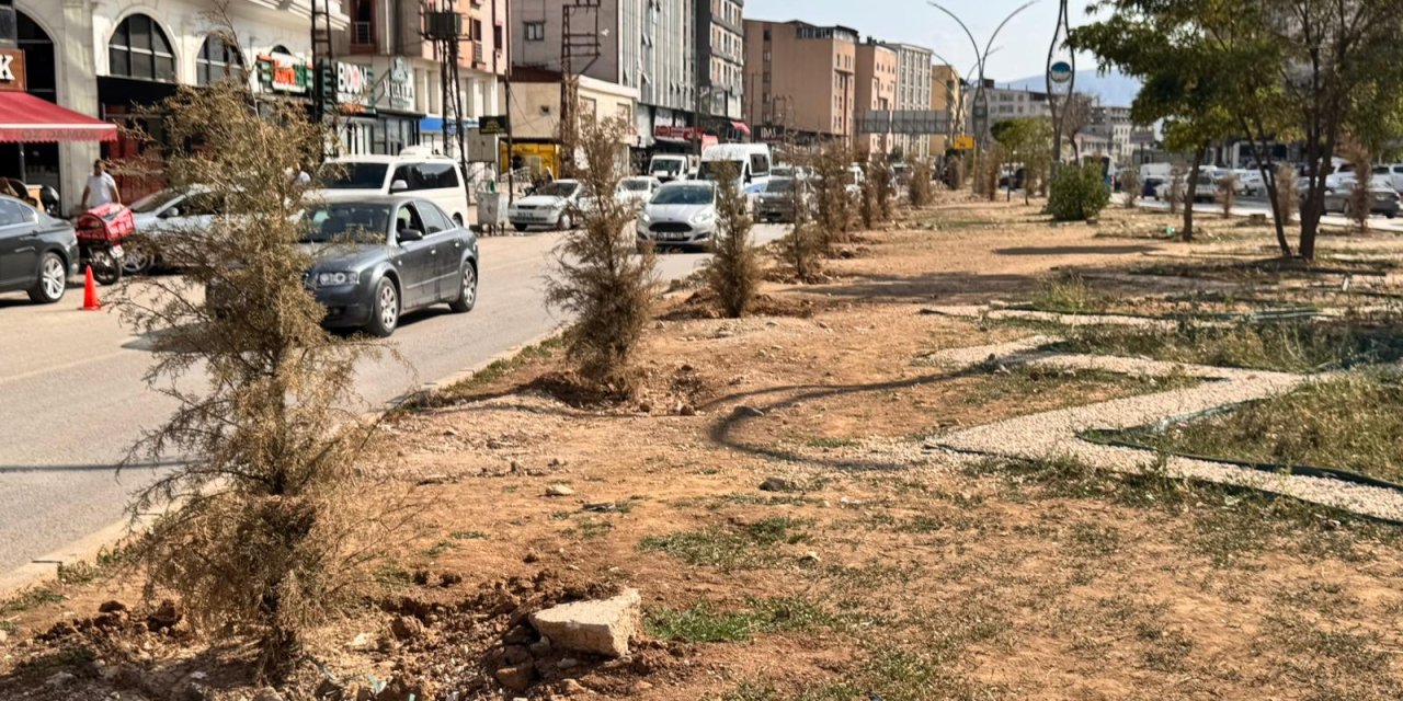 Yüksekova’da 3 bin gül susuzluktan kurudu