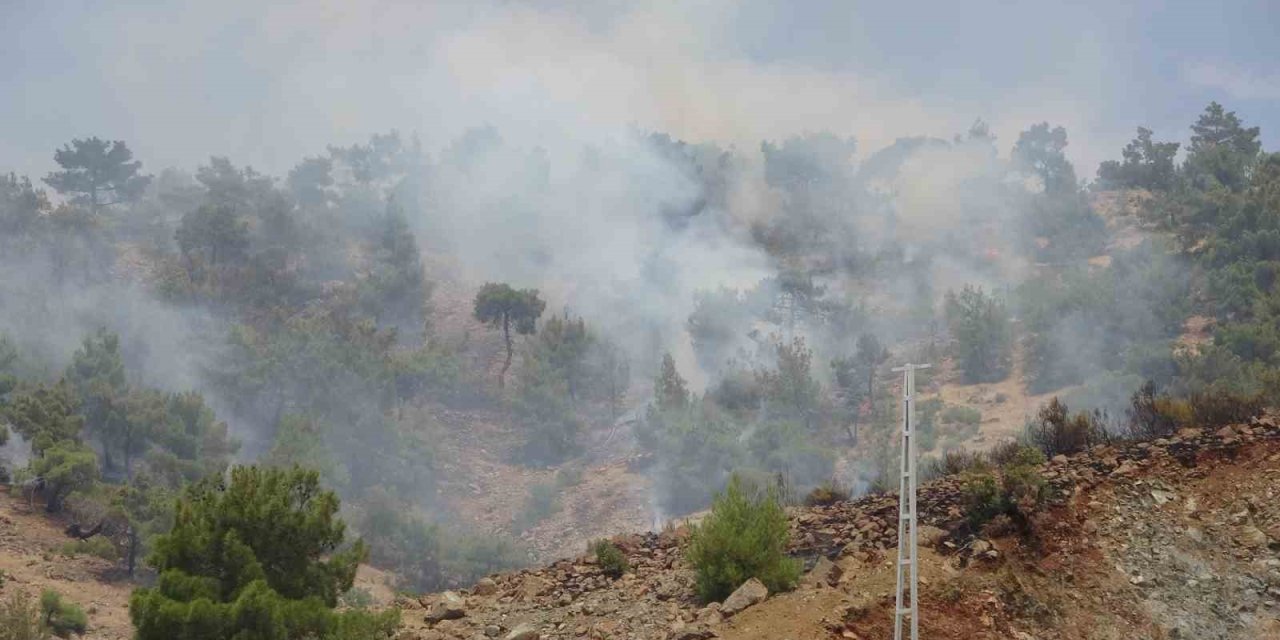 Adıyaman’da orman yangınına  müdahale edildi