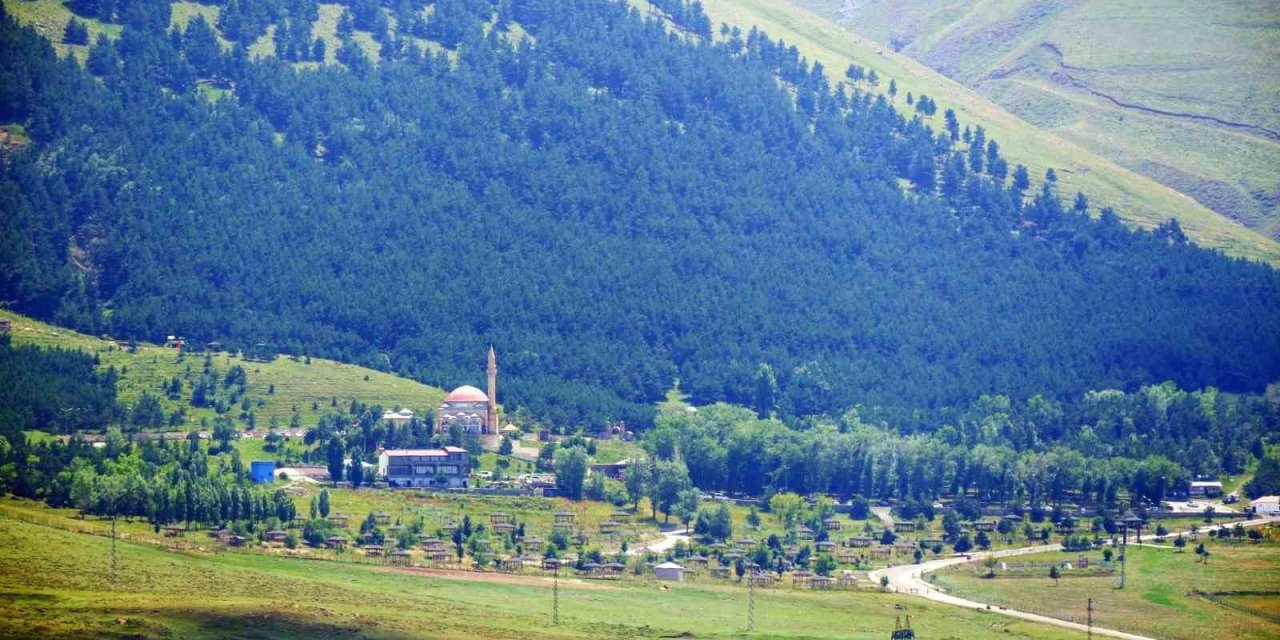 Erzurum’da orman yangınlarına karşı tedbir