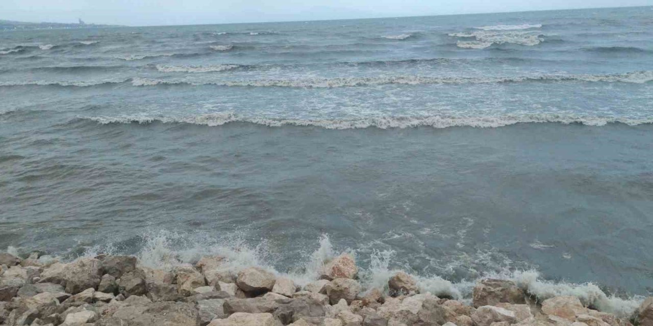 Van'da şiddetli rüzgar etkili oldu