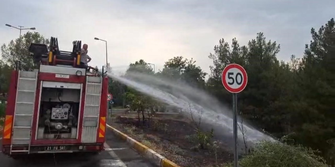 Dicle Üniversitesi’ndeki örtü yangını kontrol altına alındı