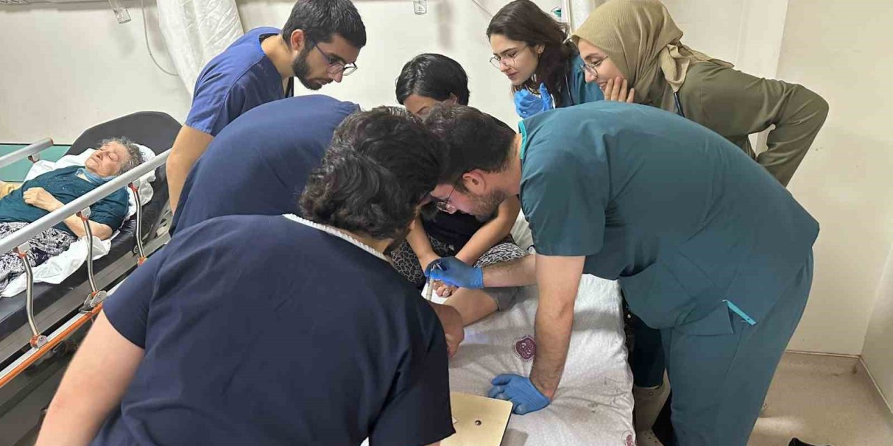 Elazığ’da kene vakaları artıyor
