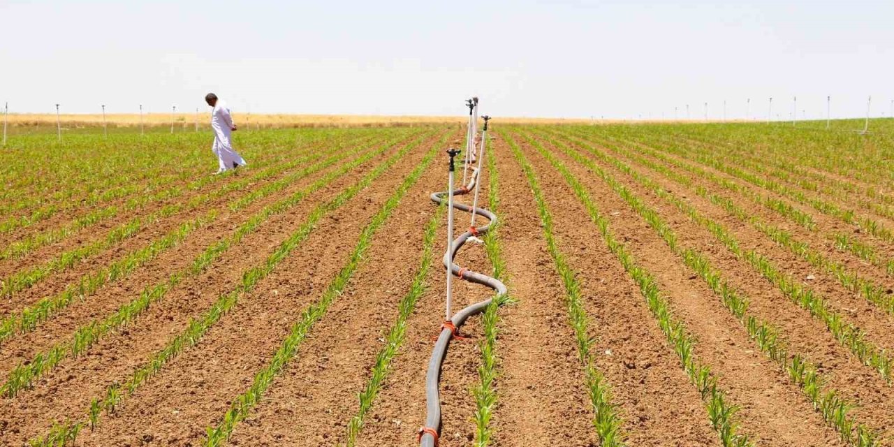 Şanlıurfa’da tarımsal su krizi