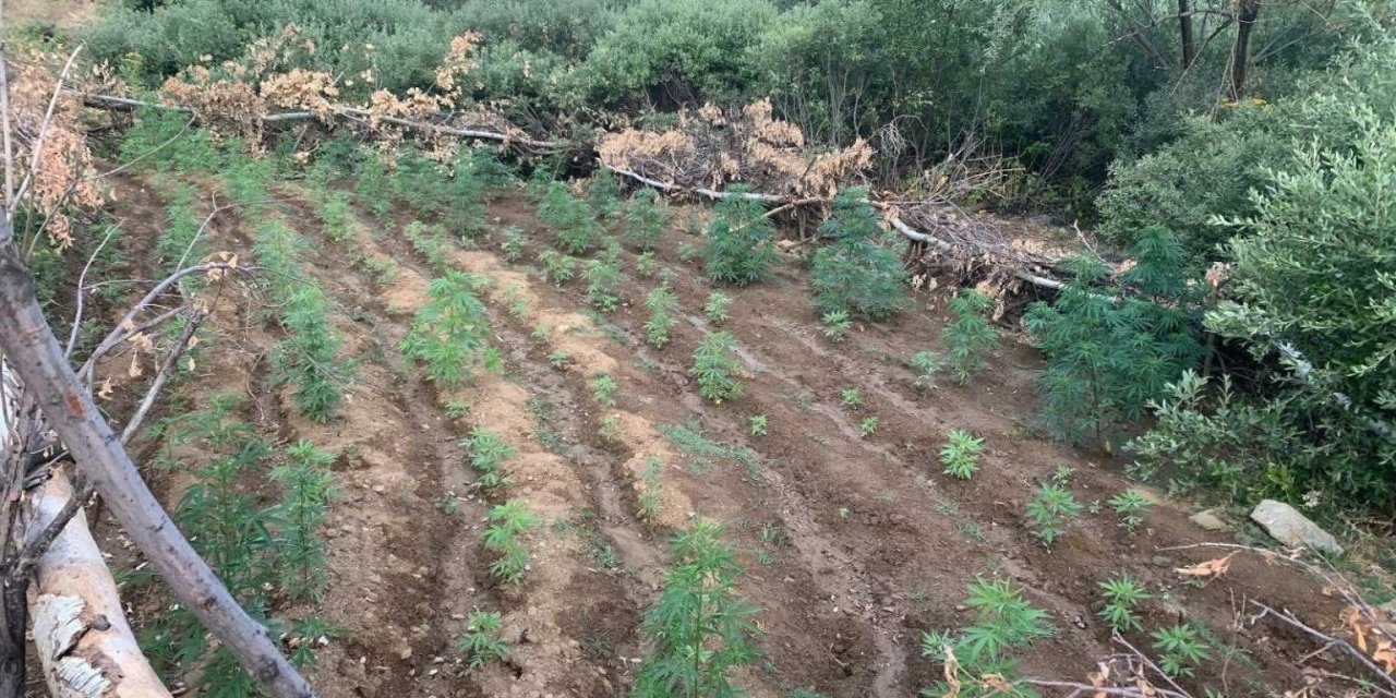 Bingöl’de uyuşturucuyla mücadele devam ediyor