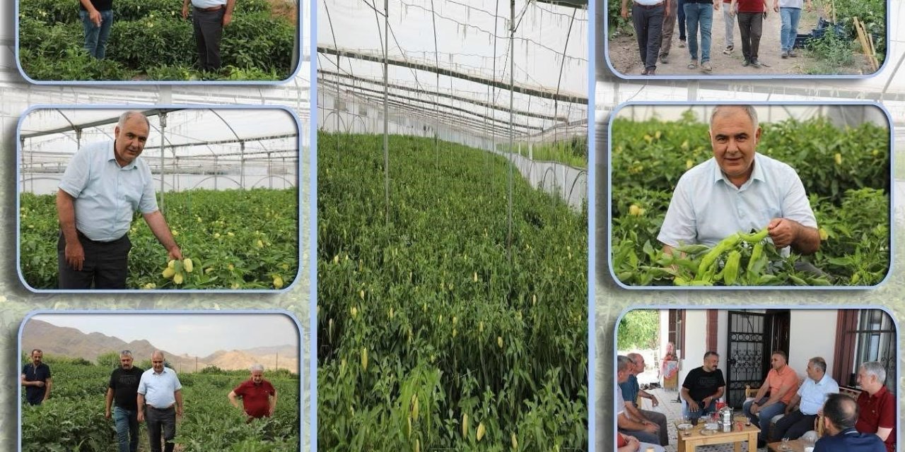 Elazığ’da bahçe ve sera alanlarında inceleme yapıldı