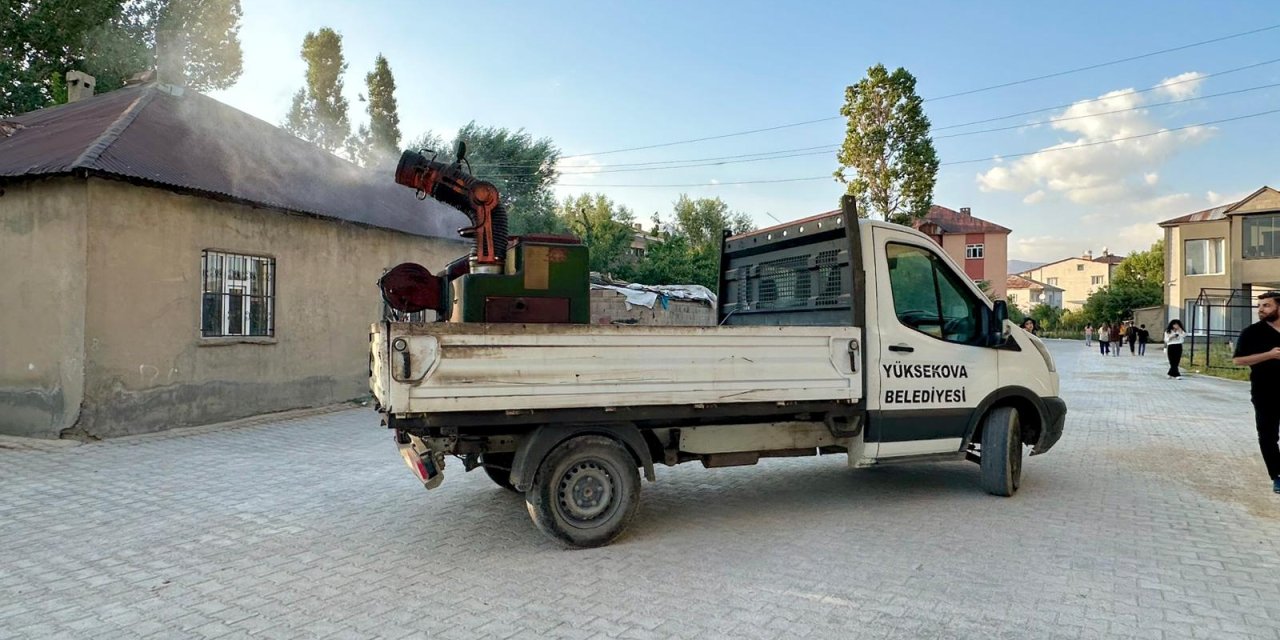 Yüksekova’da sineklere karşı ilaçlama çalışmaları sürüyor