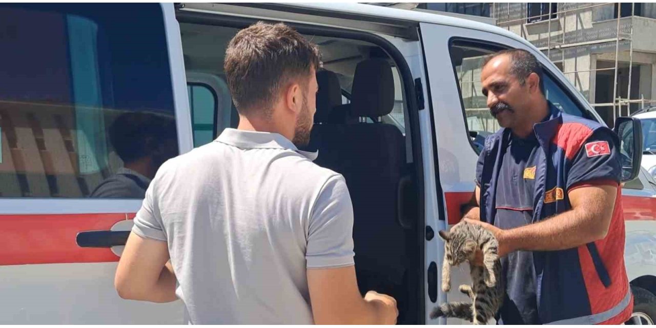 Erzincan’da aracın motor bölmesine sıkışan kedi kurtarıldı