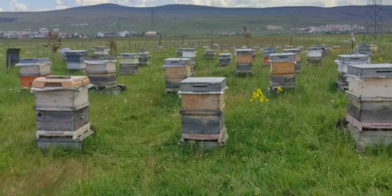 Arı Yetiştiricileri Birliği Başkanı Evliyaoğlu: "Hakiki bal donup kristalize olur’’