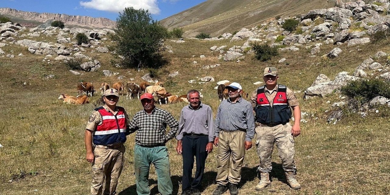 Üzümlü’de 4 gündür kayıp 17 büyükbaş hayvanı bulundu