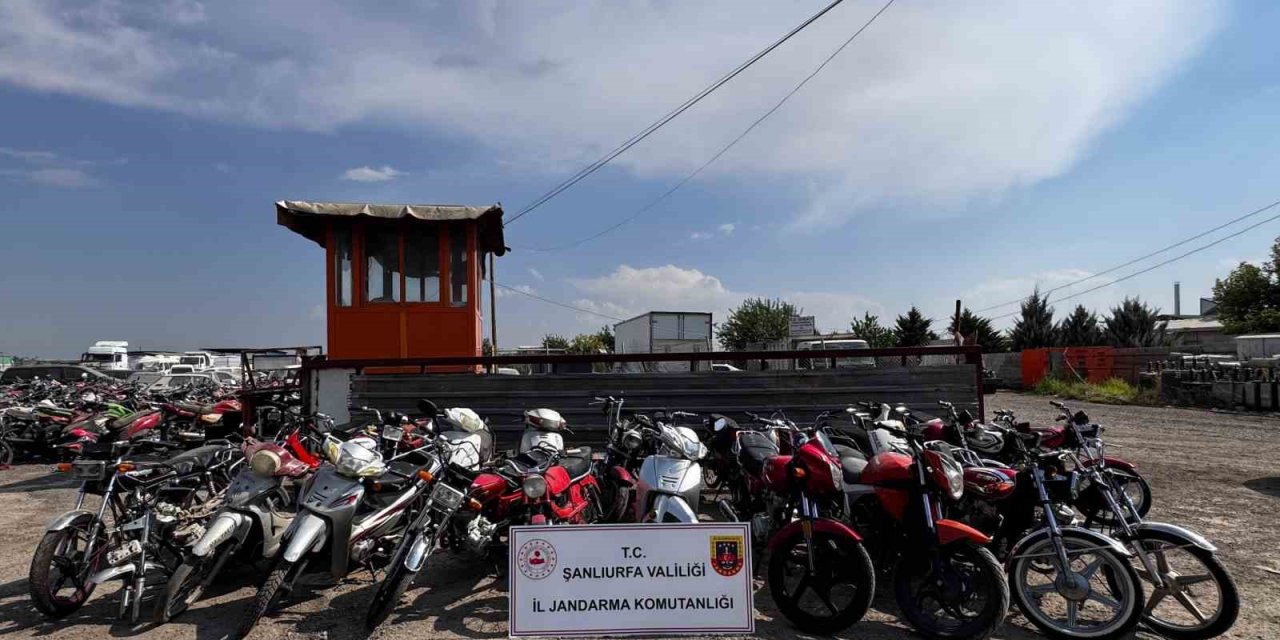 Şanlıurfa’da motosiklet hırsızlığı operasyonu