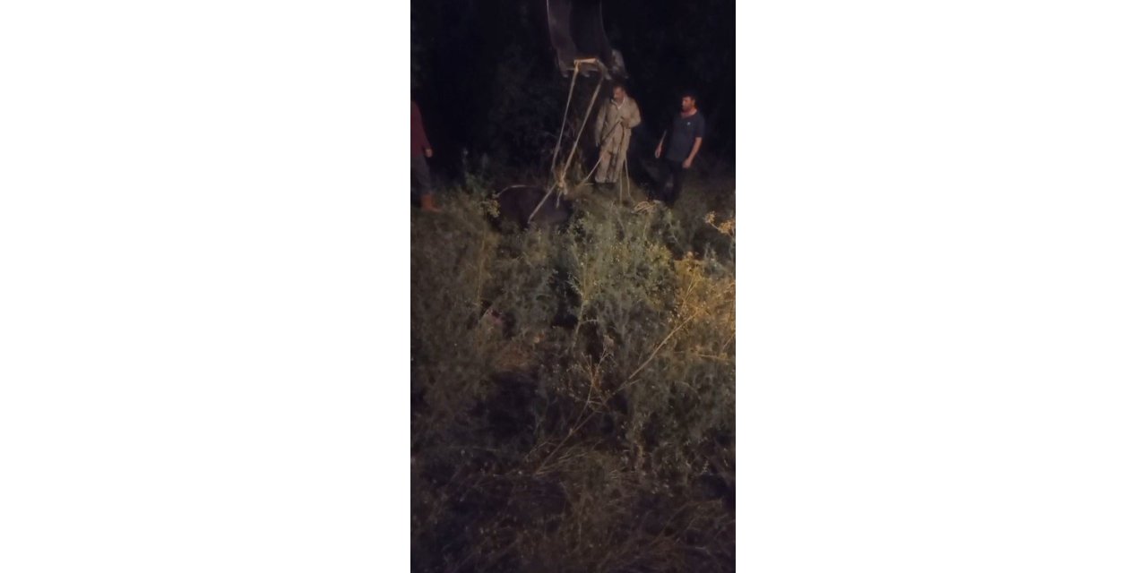Kars’ta kayalıktan düşen inek kurtarıldı