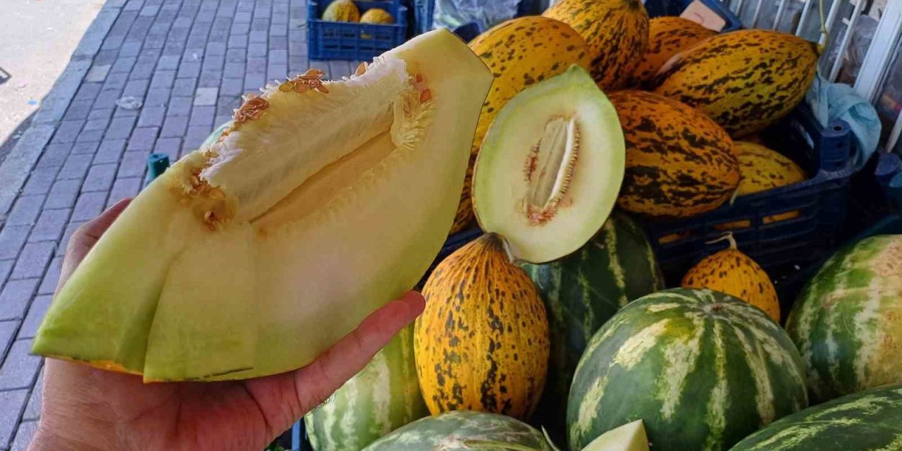 Araban Ovası’nda kavun hasadı