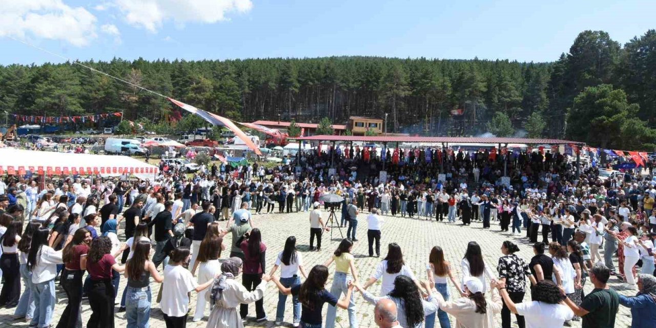 Gurbetçiler festivalde bir araya geldi