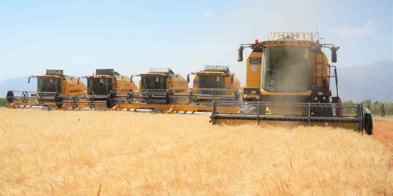 Muş’ta ekimi yapılan hububat hasadı başladı