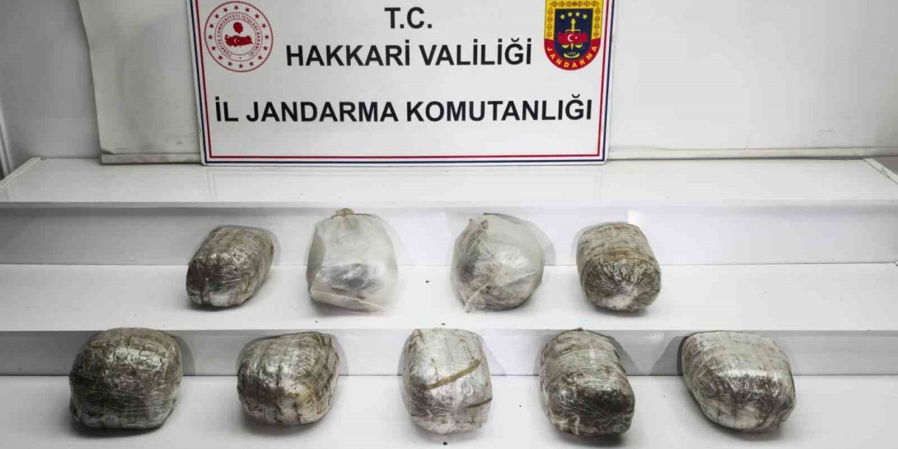 Hakkari’de 14 kilo skunk yakalandı