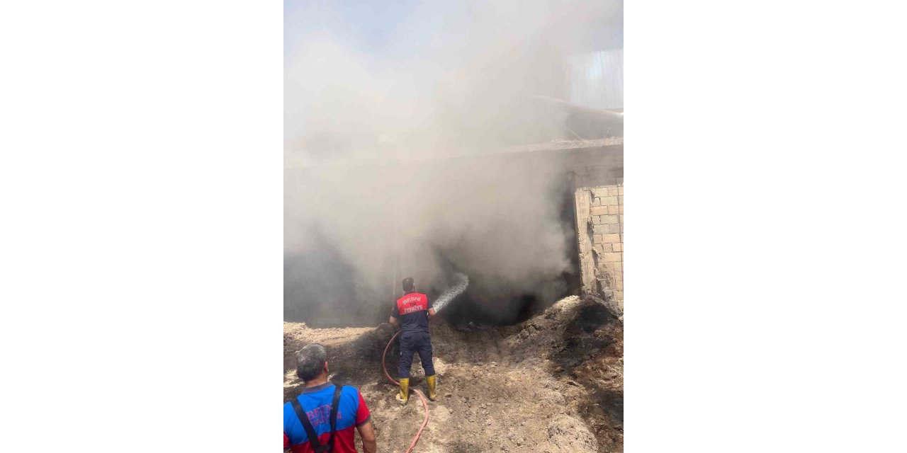 Adıyaman'da bağ evinde korkutan yangın