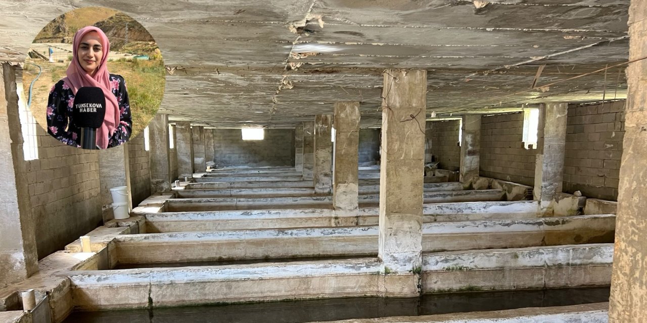 Alan Köyü’nde aile girişimiyle kurulan balık tesisi ilgi görüyor