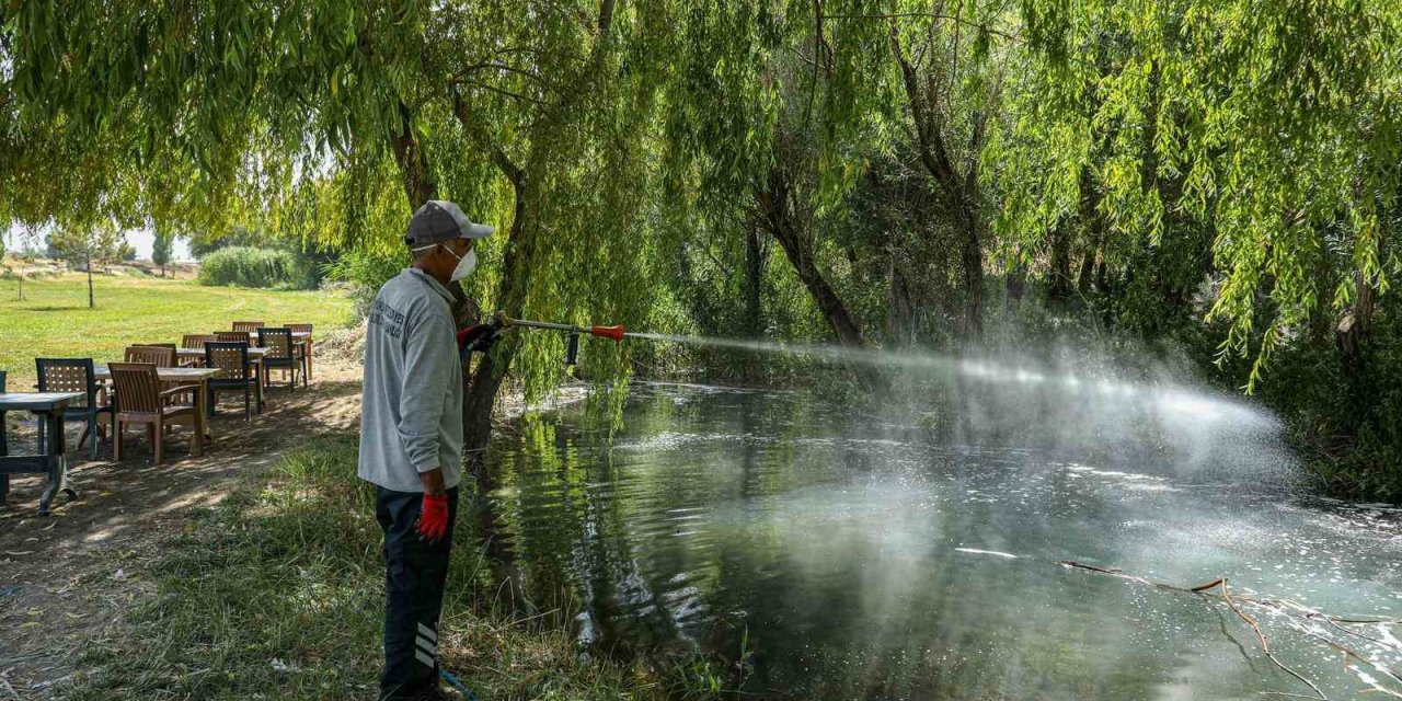 Van’da kent zararlılarına karşı ilaçlama çalışması yapıldı
