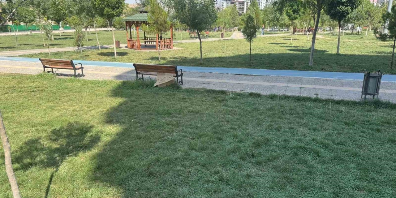 Siirt'in Kurtalan ilçesinde sıcaktan fenalaşan kadın bayıldı