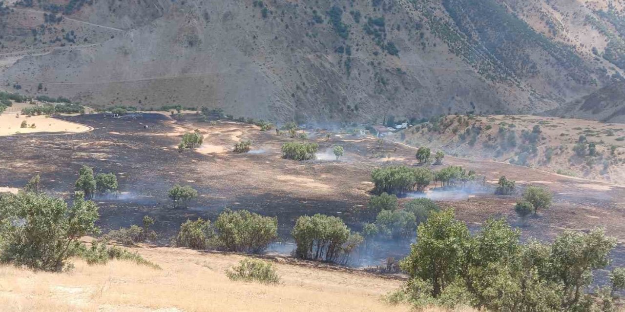 Hakkari’de anız yangını