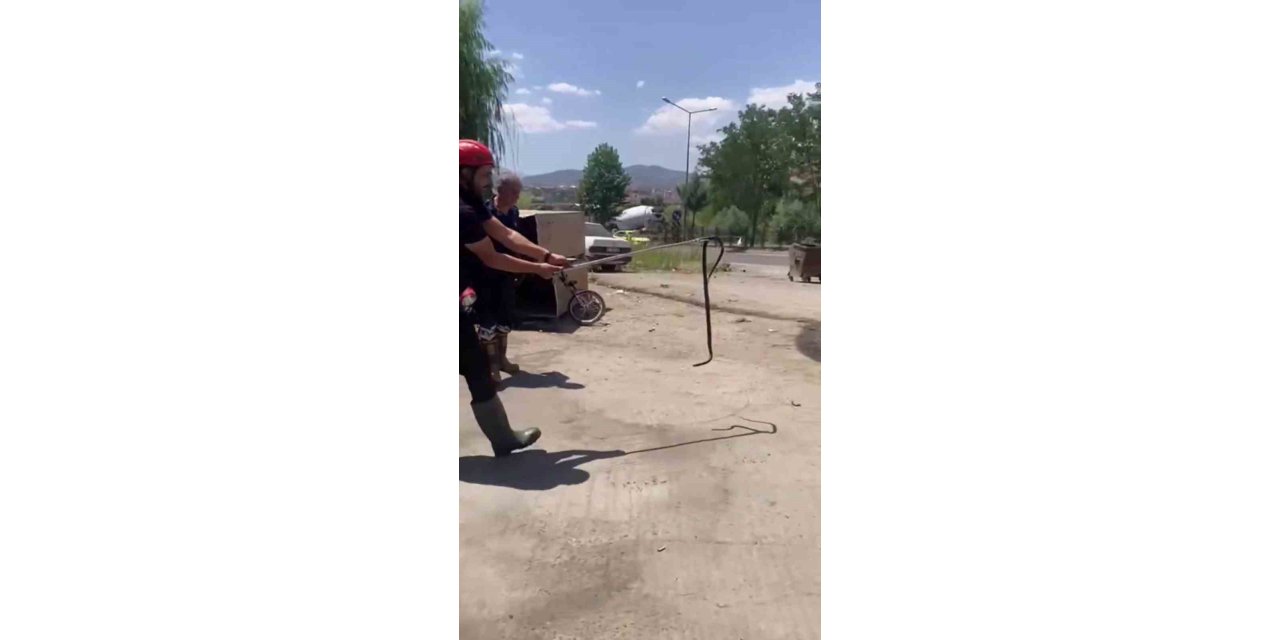 Bingöl’de tamirciye giren yılan panik yarattı