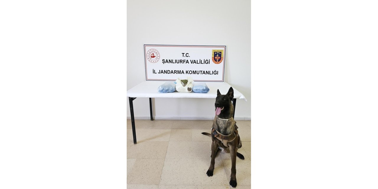 Şanlıurfa’da 6 kilo 260 gram uyuşturucu yakalandı