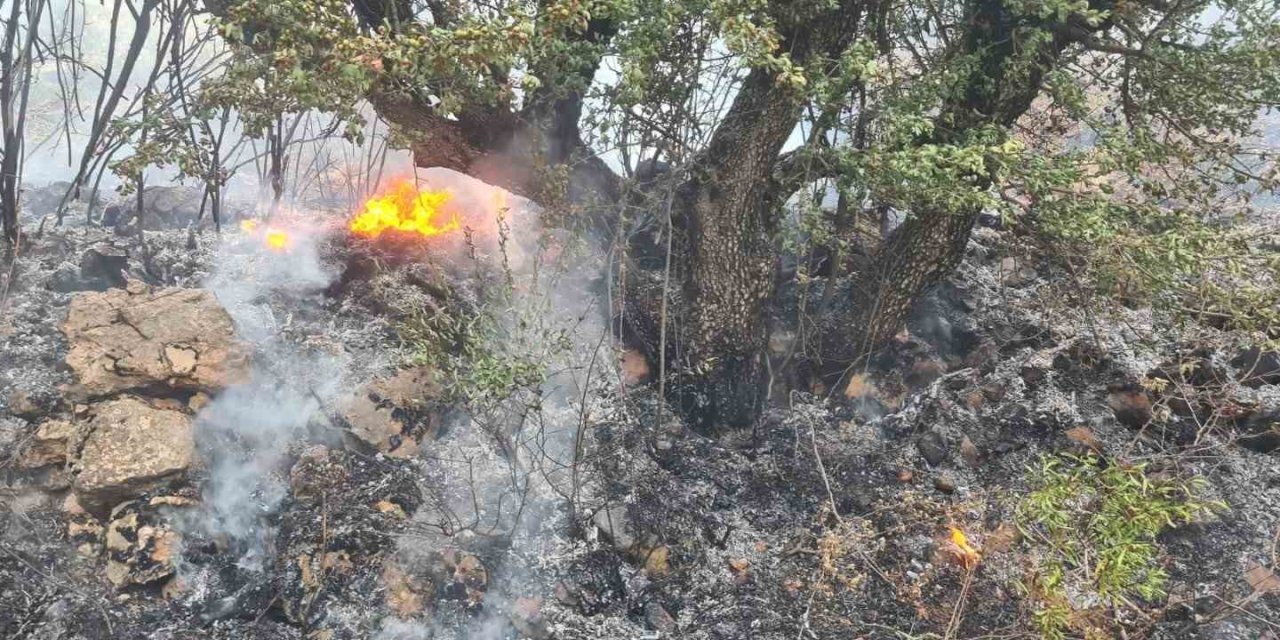 Siirt’te çıkan yangında 2 dönüm arazi kül oldu
