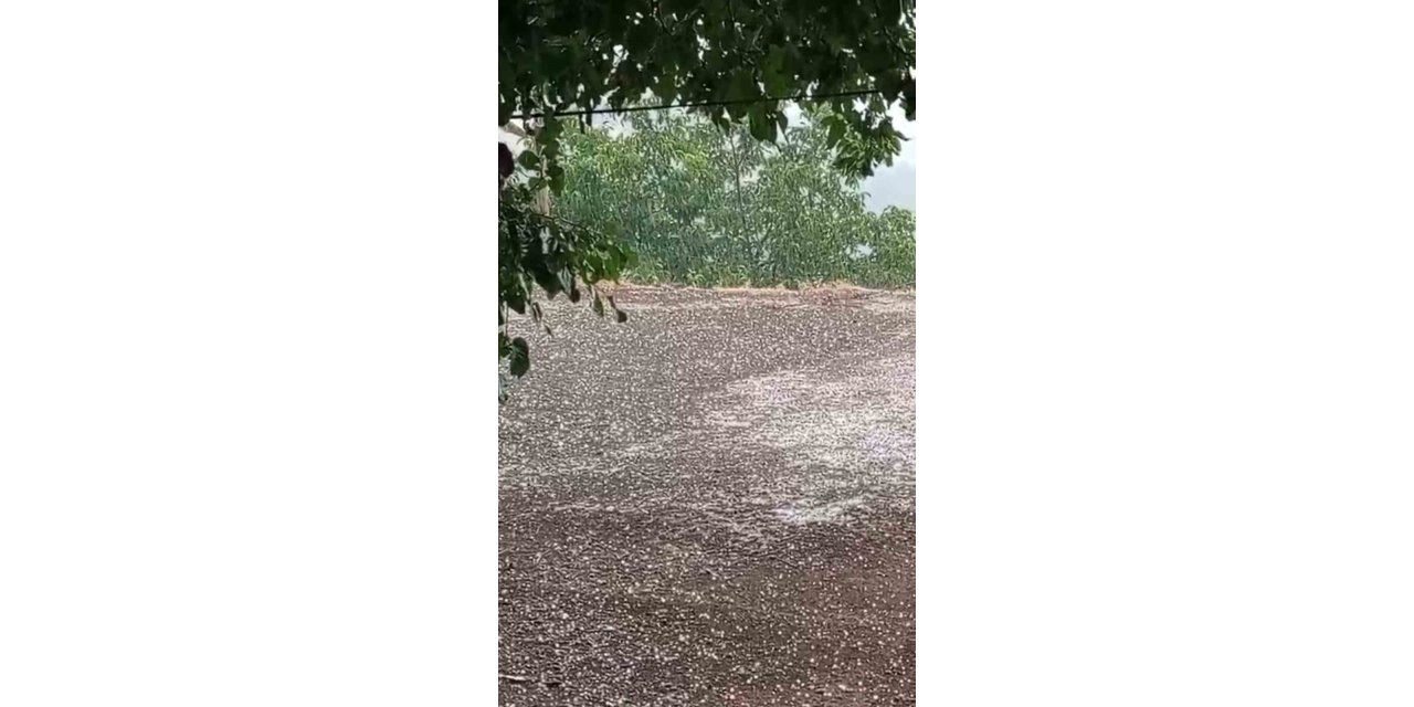 Karakoçan’da dolu etkili oldu