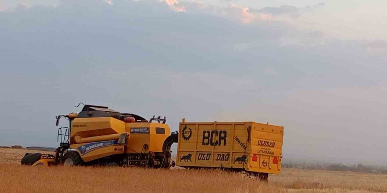 Patnosta buğday hasadı
