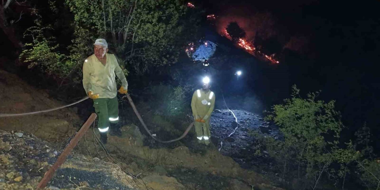 Elazığ'da ahır ve samanlıkta çıkan yangın ormanlık alana sıçradı