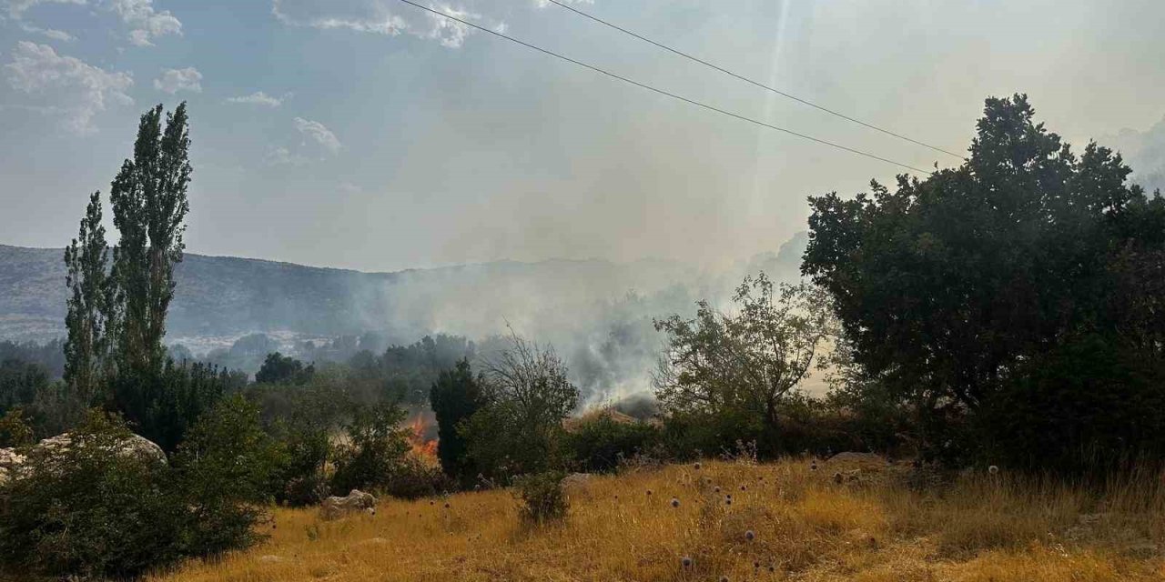 Diyarbakır’da çıkan orman yangınına saatlerdir müdahale devam ediyor