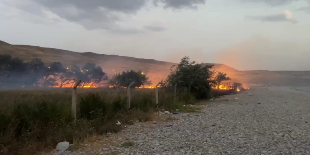 Van’da ağaçlık alanda yangın çıktı
