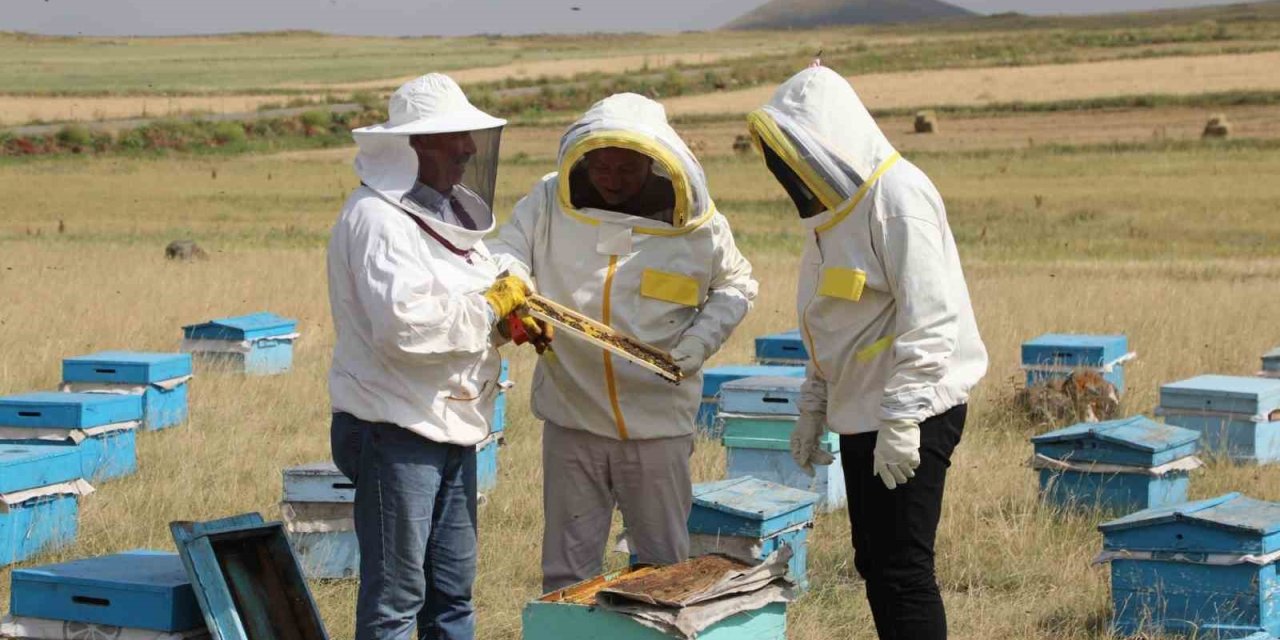 Kars’ta 2025 yılında bin 800 ton bal rekoltesi bekleniyor