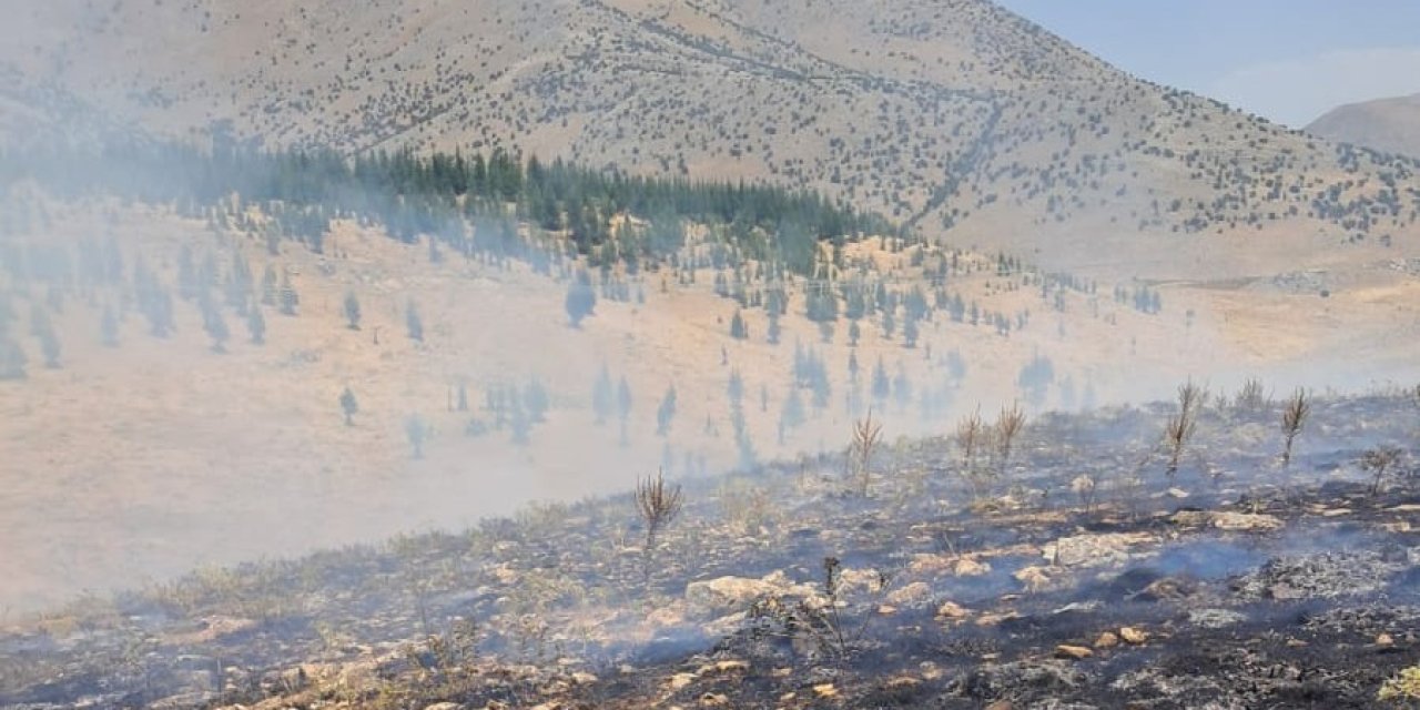 Malatya’da ormanlık alanda yangın çıktı