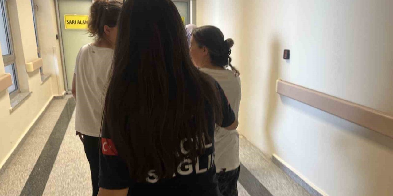 Adıyaman'da kadının kulağını kene ısırdı