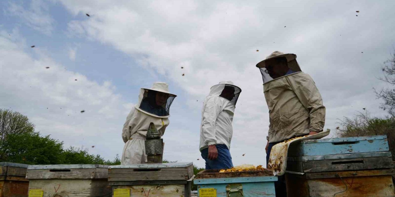 Erzincan'da aşırı sıcaklara karşı arıları koruyun uyarısı